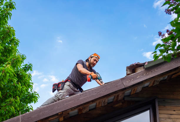 Best Asphalt Shingle Roofing  in Parlier, CA